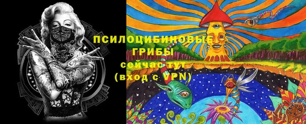 марки nbome Аркадак